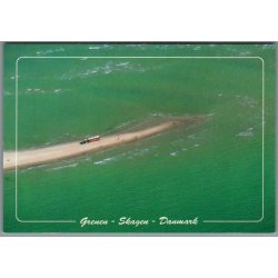 Skagen - Sandormen p� grenen - Postkort - Ubrugt