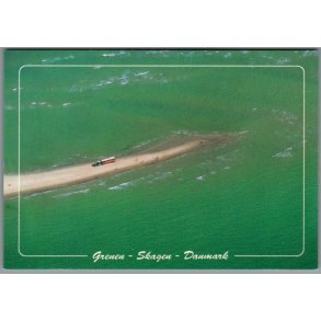 Skagen - Sandormen p� grenen - Postkort - Ubrugt