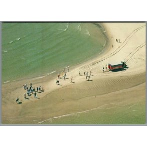 Skagen - Sandormen p� grenen - Postkort - Ubrugt