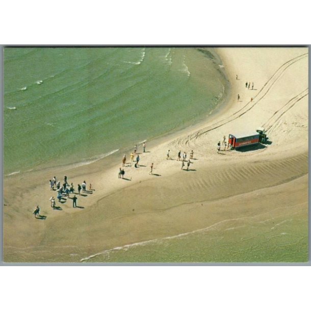 Skagen - Sandormen p� grenen - Postkort - Ubrugt