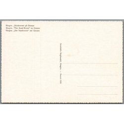 Skagen - Sandormen p� grenen - Postkort - Ubrugt