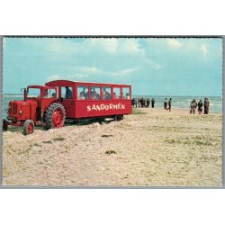 Skagen - Sandormen p� grenen - Postkort - Ubrugt