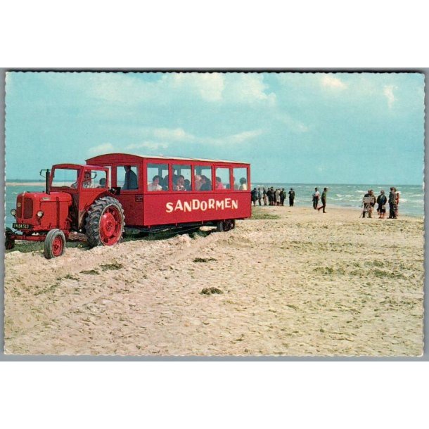 Skagen - Sandormen p� grenen - Postkort - Ubrugt