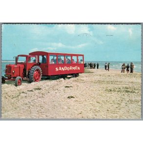 Skagen - Sandormen p� grenen - Postkort - Brugt