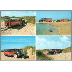 Skagen - Sandormen p� grenen - Postkort - Ubrugt