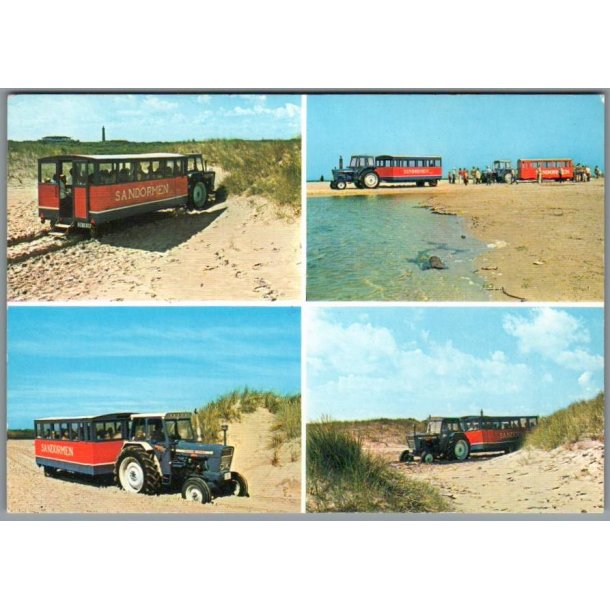 Skagen - Sandormen p� grenen - Postkort - Ubrugt