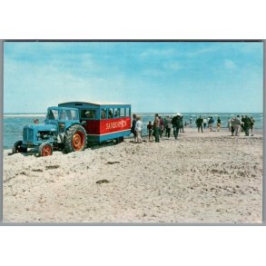 Skagen - Sandormen p� grenen - Postkort - Ubrugt