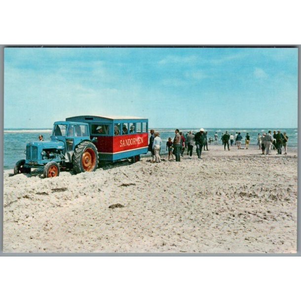 Skagen - Sandormen p� grenen - Postkort - Ubrugt