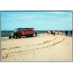 Skagen - Sandormen p� grenen - Postkort - Ubrugt