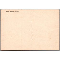 Skagen - Sandormen p� grenen - Postkort - Ubrugt