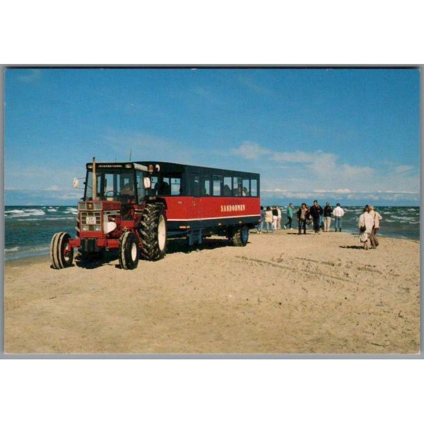 Skagen - Sandormen p� grenen - Postkort - Brugt