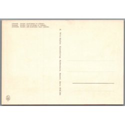 Skagen - Sandormen p� grenen - Postkort - Ubrugt