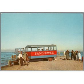 Skagen - Sandormen p� grenen - Postkort - Ubrugt