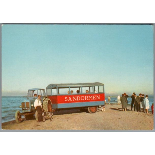 Skagen - Sandormen p� grenen - Postkort - Ubrugt