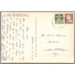 Skagen - Sandormen p� grenen - Postkort - Brugt