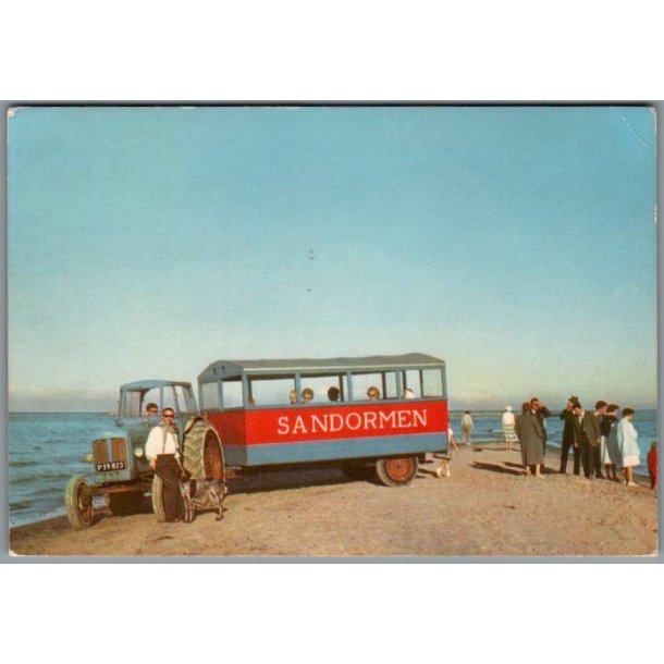 Skagen - Sandormen p� grenen - Postkort - Brugt