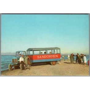 Skagen - Sandormen p� grenen - Postkort - Brugt