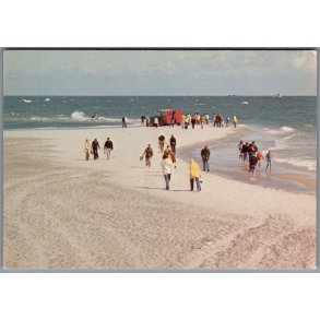 Skagen - Sandormen p� grenens yderste spids - Postkort - Ubrugt