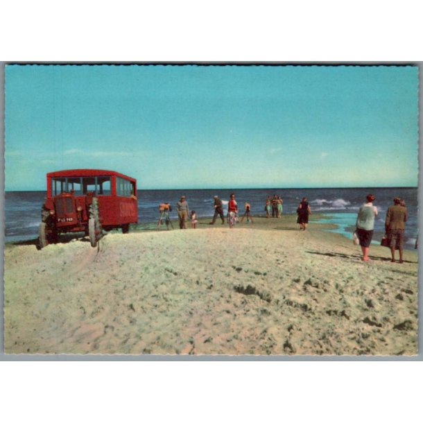 Skagen - Parti fra grenens spids - Postkort - Ubrugt