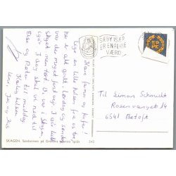 Skagen - Sandormen p� grenens yderste spids - Postkort - Brugt