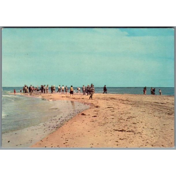 Skagen - Grenen - Postkort - Brugt