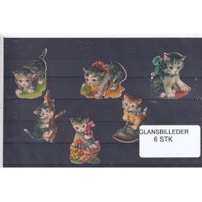 Glansbilleder - Katte - 6 Stk. 