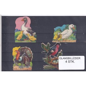 Glansbilleder - Fugle - 4 Stk. 