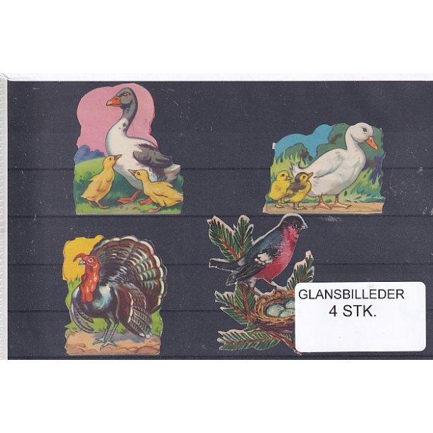 Glansbilleder - Fugle - 4 Stk. 
