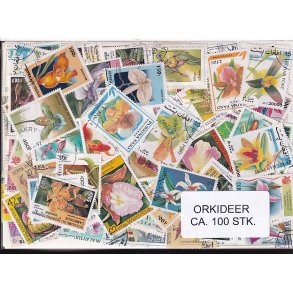 Orkideer p Frimrker st/ust. 100 stk.