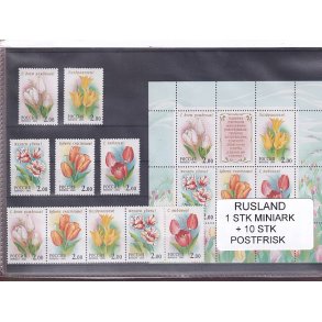 Rusland, 1 Stk. Miniark + 10 Stk. - Postfrisk