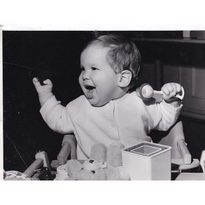 Prins Pavlos - Royale Pressefoto Elfelt 22 x17 cm. - Sm Folder !