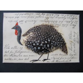 Fjer - Kalkun - u/n  - Brugt