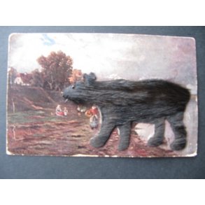 Collage - Skind - Bjrn ? . - Skrevet 12 - 8- 1908  - Ubrugt