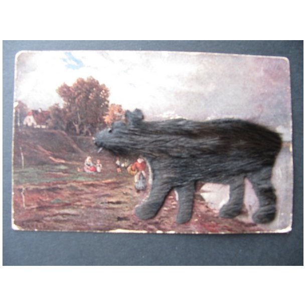 Collage - Skind - Bjrn ? . - Skrevet 12 - 8- 1908  - Ubrugt