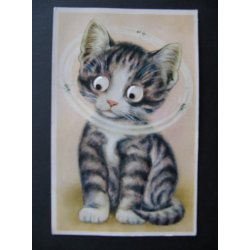 Rullejne - Kat og Bi - IF u/n - Brugt