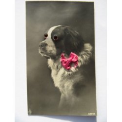 Glasjne - Hund - PFB  3267/2  - Ubrugt