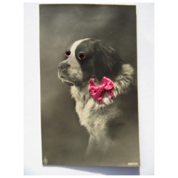 Glasjne - Hund - PFB  3267/2  - Ubrugt