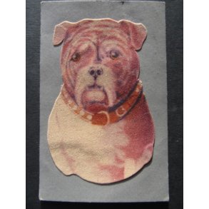 Collage - Filtlignende billede ! - 2043 - Brugt