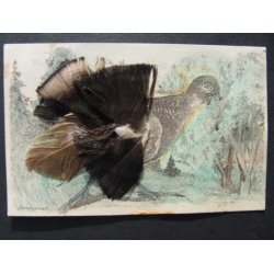 Fjer - Handgemalt - Ubrugt