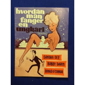 Hvordan man fanger en ungkarl - A5 - Pn