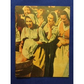 Borgmesterinden Bader - A5 - Pn