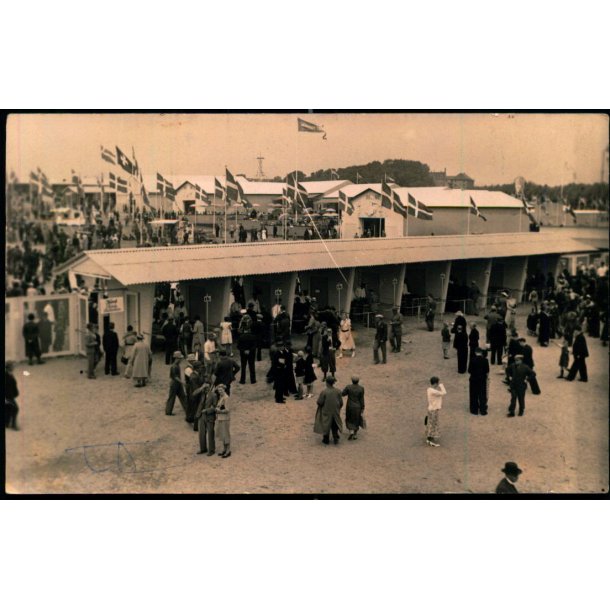 Bellahj Dyreskue - Fotokort Ubrugt