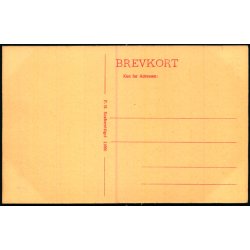 Randers - Udsigt fra Sct. Peters Kirke - P.H.  11660 - Ubrugt