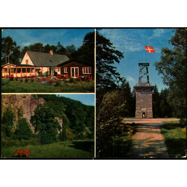 Bornholm - Almindingen - Colbergs Bogh. 8966 - Brugt