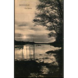 Bornholm - Fra Skovly - Frits Srensen 4945 - Ubrugt