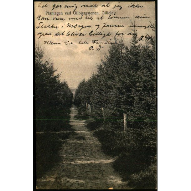 Plantagen ved Gilbjergstien - Gilleleje - V. T�rck 9 - brugt