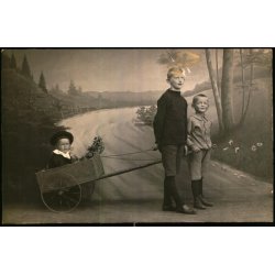 Firh�j - Fotokort u/n - Ubrugt