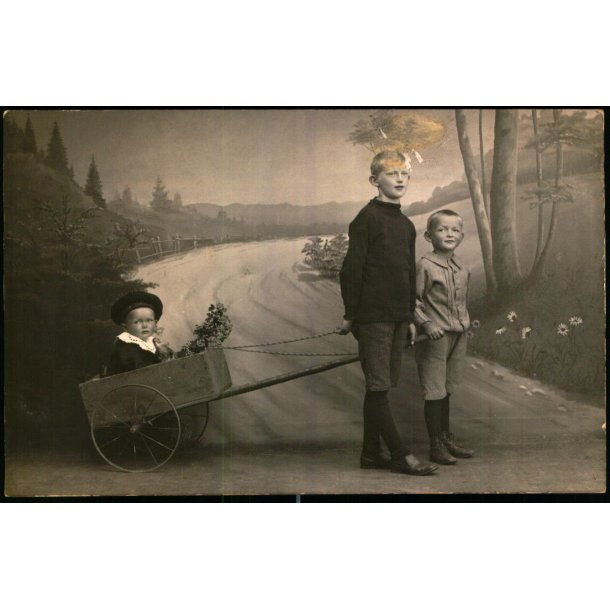 Firh�j - Fotokort u/n - Ubrugt