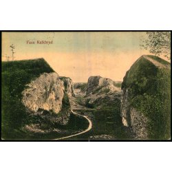 Faxe Kalkbrud - P.N. Tinglef 302 - Brugt