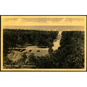 Tisvilde Hegn - Fra Brantebjerg - Rudolf Olsen 8 - Brugt